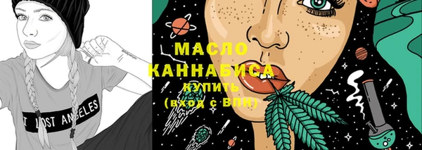 МДПВ Бородино