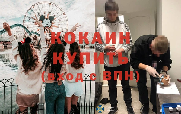 МДПВ Бородино