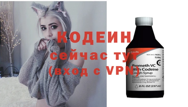 СК Бронницы