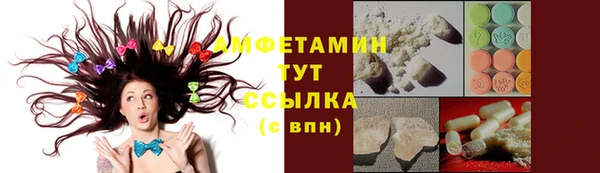МДПВ Бородино