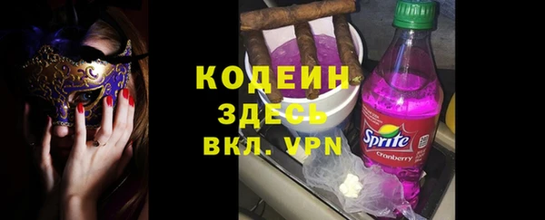 МДПВ Бородино