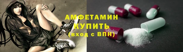 МДПВ Бородино