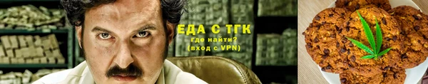СК Бронницы
