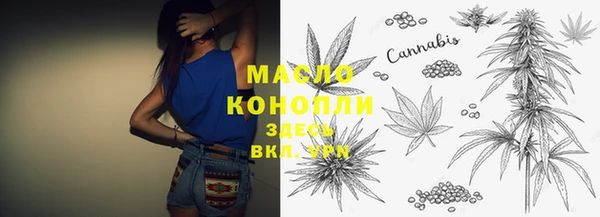 СК Бронницы