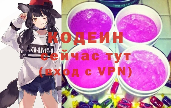 СК Бронницы