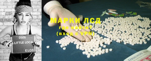 МДПВ Бородино