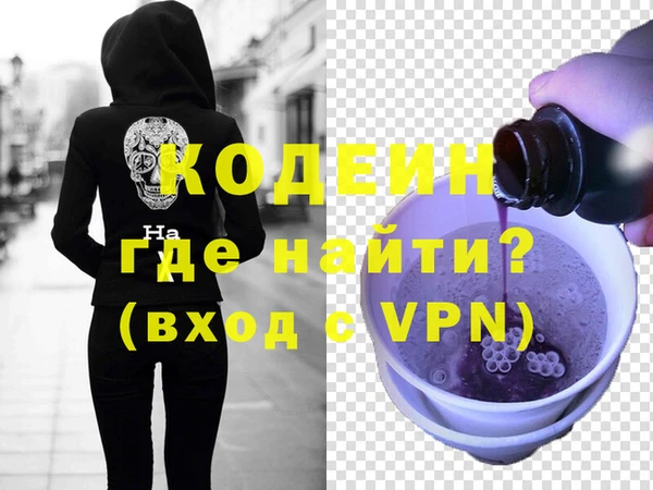 МДПВ Бородино