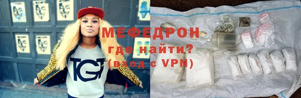 МДПВ Бородино